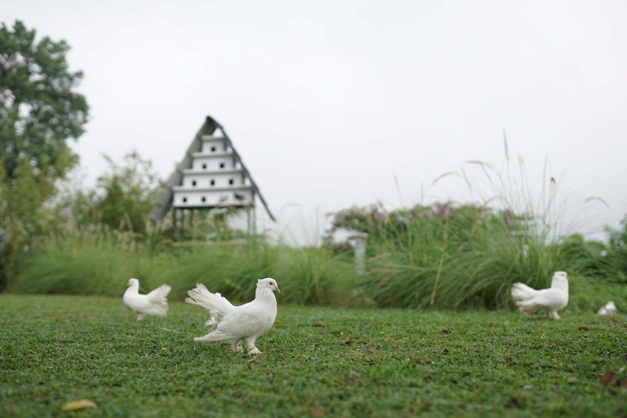 Abhayagiri - Sumberwatu Heritage Resort 日惹 外观 照片